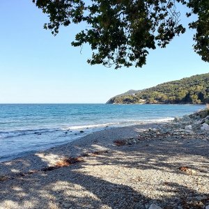 : Koutsoupia egyik strandja