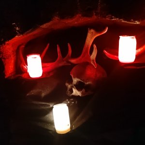 Győri Norbert*: A fesztivál minden sarkában találkozhatunk egy meglepetéssel.
