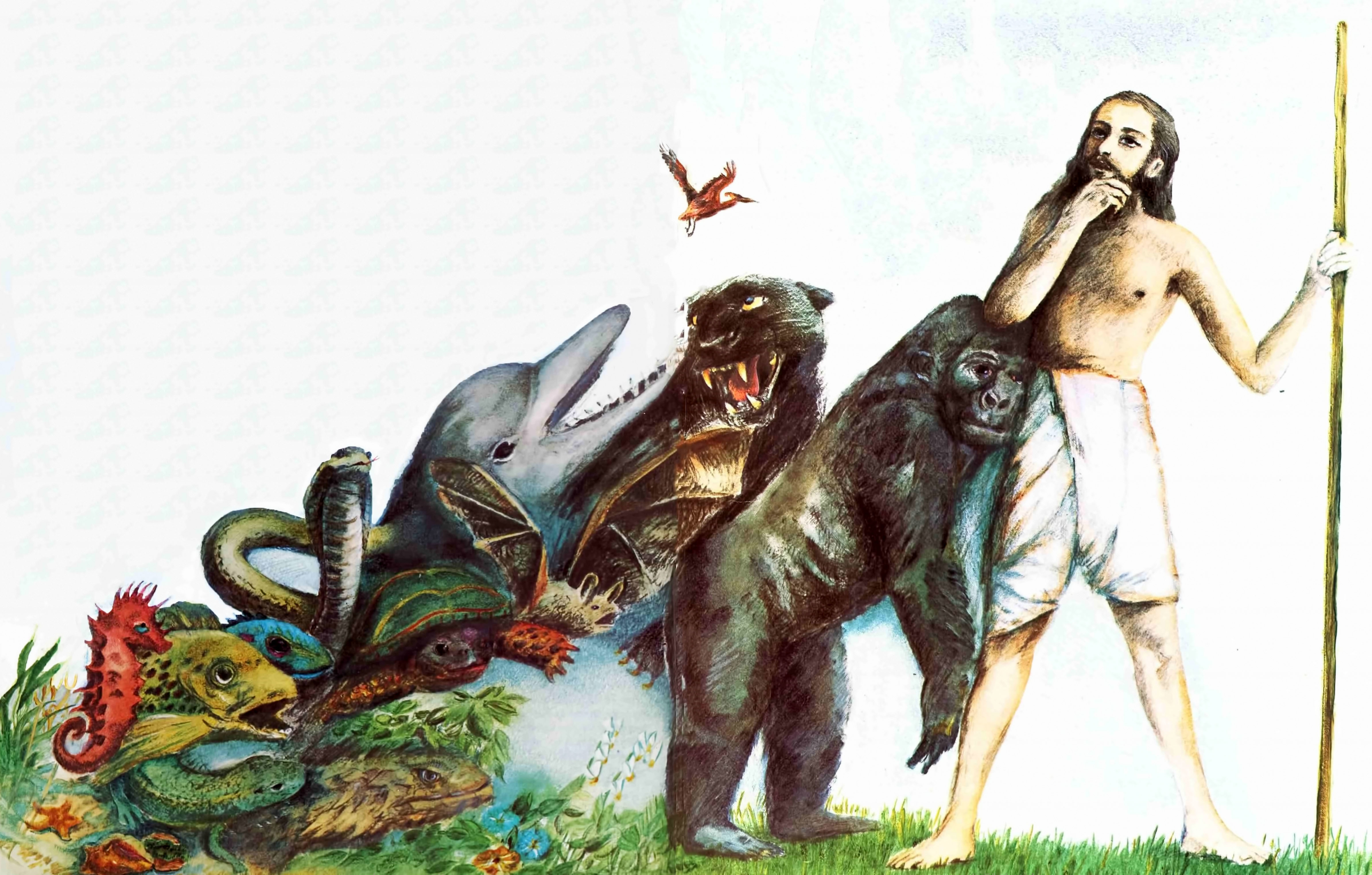 Какое первое живое существо на земле. Эволюционная теория Чарльза Дарвина. Теория эволюции Дарвина.
