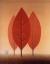René Magritte: Les princes de l'automne